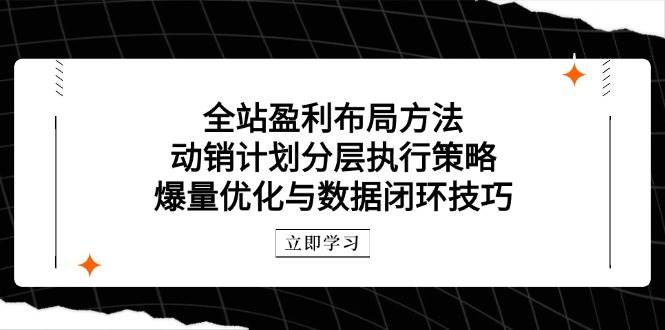 全站盈利布局宝典：动销计划分层策略与爆量优化数据闭环绝技-猴哥项目网