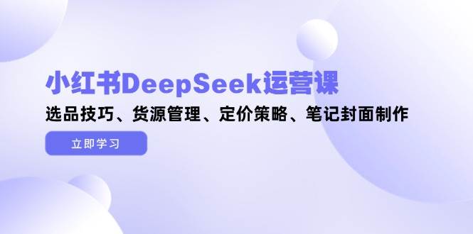 小红书DeepSeek运营精品课，解锁选品秘籍、货源管理之道、定价策略精髓与笔记封面打造艺术-猴哥项目网