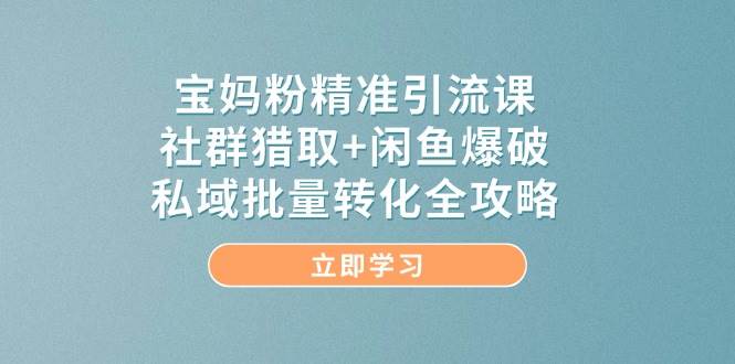 宝妈粉精准引流宝典：社群精准猎取+闲鱼爆破策略，揭秘私域流量批量转化之道-猴哥项目网