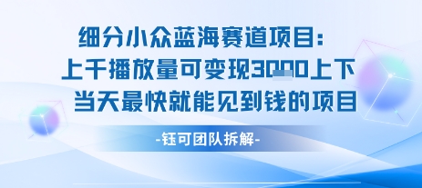 小众蓝海赛道项目：当天变现1k+适合新手操作 +适合长期玩-猴哥项目网