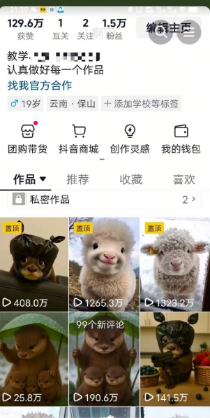 抖音65W博主AI萌宠课程，新赛道流量大，原创+二创，全套课程+提示词-猴哥项目网