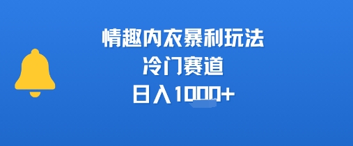 情趣内衣暴利玩法，冷门赛道，日入1k+-猴哥项目网