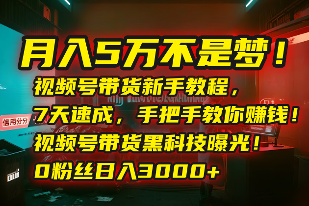 月入5万不是梦！视频号带货新手教程，7天速成，手把手教你赚钱！视频号…-猴哥项目网