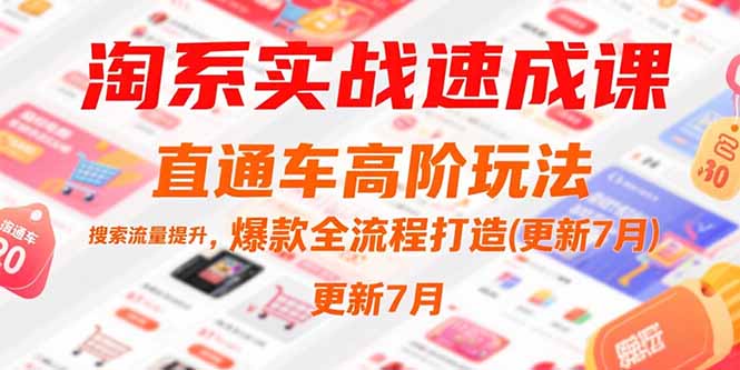 淘系实战速成课，直通车高阶玩法，搜索流量提升，爆款全流程打造(更新7月-猴哥项目网