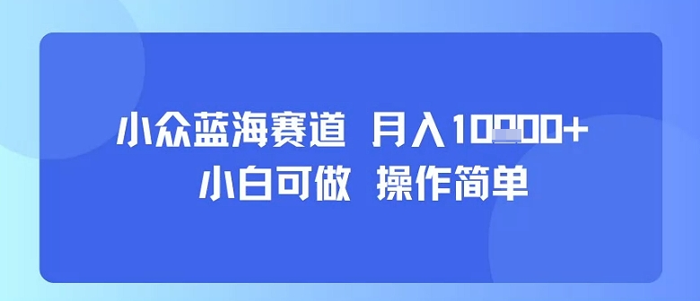 小众蓝海赛道，小白可做，操作简单，每天30分钟，月入1W+-猴哥项目网