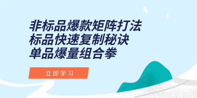 非标品爆款矩阵打法，标品快速复制秘诀，单品爆量组合拳-猴哥项目网