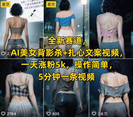 全新赛道，AI美女背影杀+扎心文案视频，一天涨粉5k，操作简单，5分钟一条视频-猴哥项目网