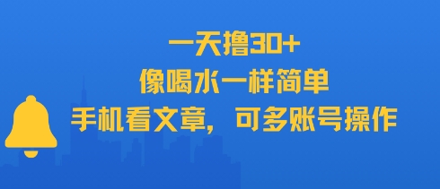 一天撸30+，像喝水一样简单，手机看文章，可多账号操作-猴哥项目网