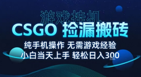 8月最新游戏搬砖，CSGO纯挂G，不需要玩游戏，实现真挂G，月入1W+【揭秘】-猴哥项目网