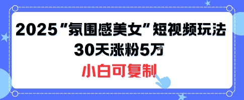 不露脸也能火！2025“氛围感美女”短视频玩法，30天涨粉5W小白可复制-猴哥项目网