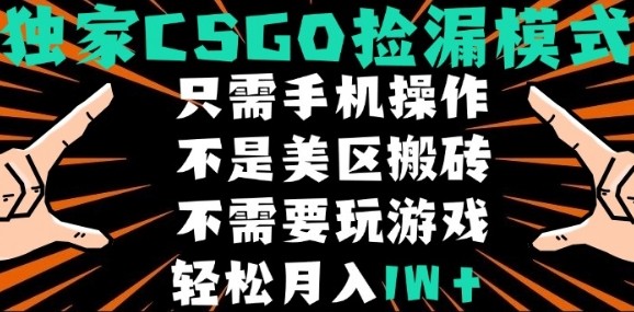 CSGO自动捡漏项目，最新独家玩法，不是美区搬砖，不需要了解和玩游戏，新手小白轻松月入1W+【揭秘】-猴哥项目网