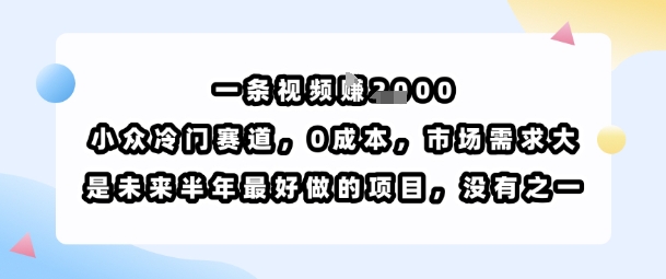 一条视频挣1k，小众冷门赛道，0成本，市场需求大，是未来半年最好做的项目，没有之一-猴哥项目网