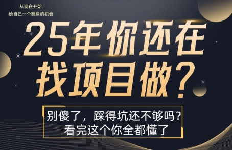 25年，你还在疯狂的找项目吗？别傻了，看完这个你都懂了【揭秘】-猴哥项目网