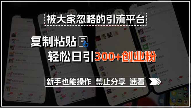 被大家忽略的引流平台，复制粘贴轻松日引300+创业粉，新手也能操作，禁…-猴哥项目网