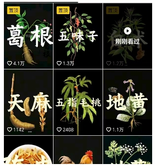 抖音中草药赛道，用AI做中草药故事视频，45条作品涨粉13W，橱窗带货猛猛出单-猴哥项目网