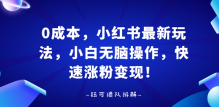 0成本，小红书最新玩法，小白无脑操作，快速涨粉变现-猴哥项目网