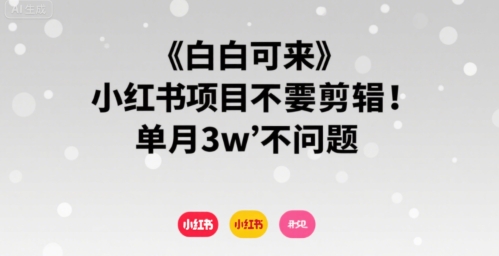 小白可来 小红书项目不需要剪辑 单月3w不是问题-猴哥项目网