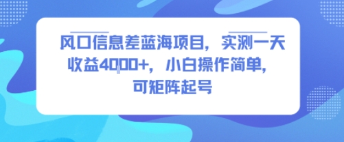 风口信息差蓝海项目，实测一天收益4k+，小白操作简单，可矩阵起号-猴哥项目网
