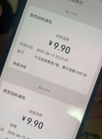 二次元男粉快速变现项目，私域卖虚拟产品，百分利润-猴哥项目网
