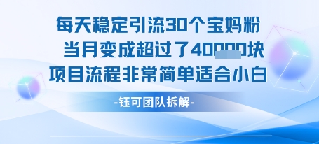 每天稳定引流30个人 当月变成超过了4个W项目流程非常简单适合小白-猴哥项目网
