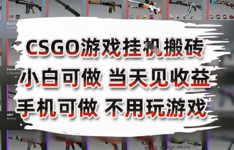 CSGO游戏挂G搬砖，小白纯手机即可操作，不用电脑打游戏，日入3张+，副业网创项目【揭秘】-猴哥项目网