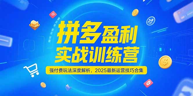拼多多盈利实战训练营，强付费玩法深度解析，2025运营技巧合集-更新6月-猴哥项目网
