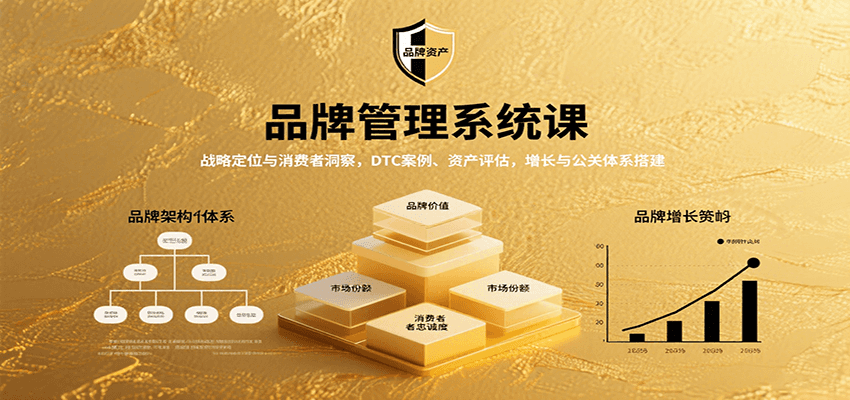 品牌管理系统课：战略定位与消费者洞察，DTC案例、资产评估，增长与公关体系搭建-猴哥项目网