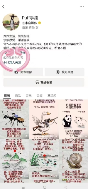 Puff手绘视频号分成项目，三天过分成计划，简单易上手，适合新手-猴哥项目网