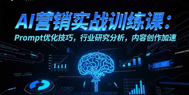 AI营销实战训练课：Prompt优化技巧，行业研究分析，内容创作加速-猴哥项目网