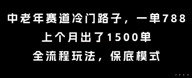 中老年赛道冷门路子，一单788，上个月出了1500单，全流程玩法，保底模式【揭秘】-猴哥项目网