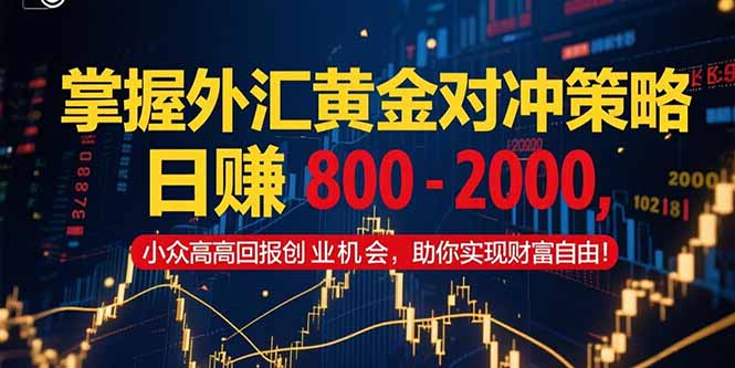 掌握外汇黄金对冲策略，日赚 800 – 2000，小众高回报创业机会，助你实…-猴哥项目网
