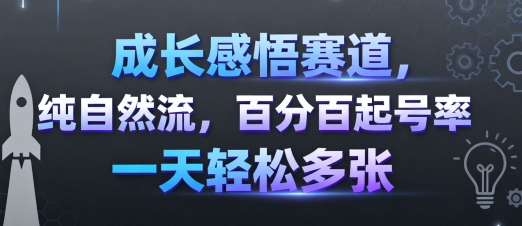 成长感悟赛道，纯自然流，百分百起号率 一天轻松多张-猴哥项目网