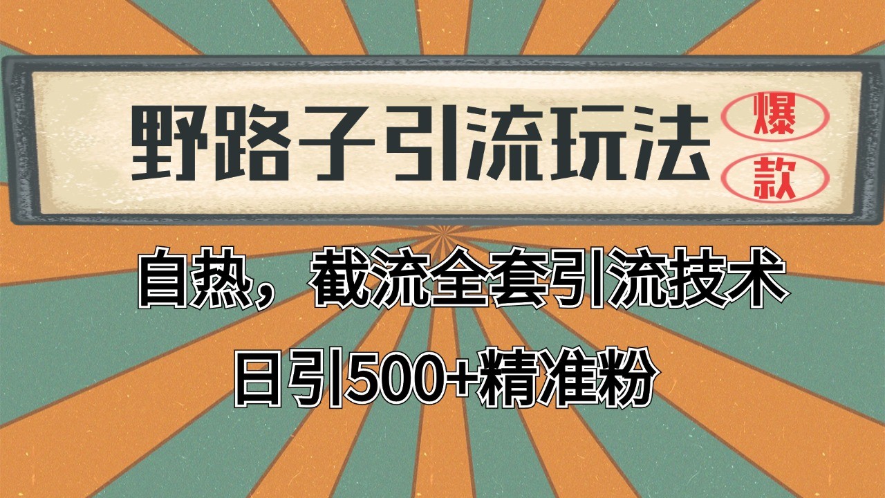 2024首发野路子引流玩法截流自热全平台打法，全自动引流【日引2000+精准客户】-猴哥项目网
