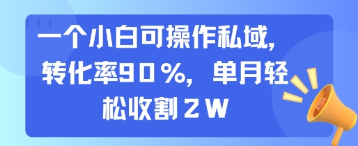 一个小白可操作私域，转化率90%，单月轻松收割2W-猴哥项目网