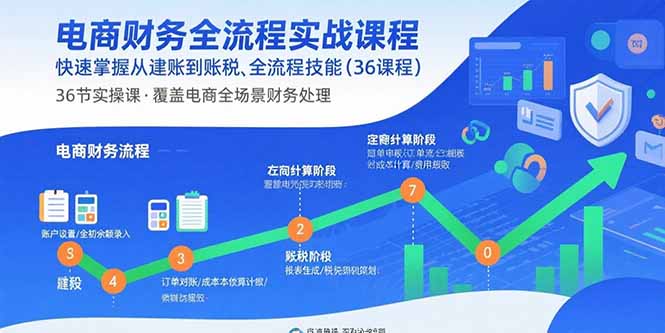 电商财务全流程实战课程：快速掌握从建账到报税的全流程技能(36节课-猴哥项目网