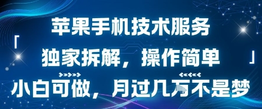 苹果手机技术服务，独家拆解，操作简单，小白可做，月过1W不是梦-猴哥项目网