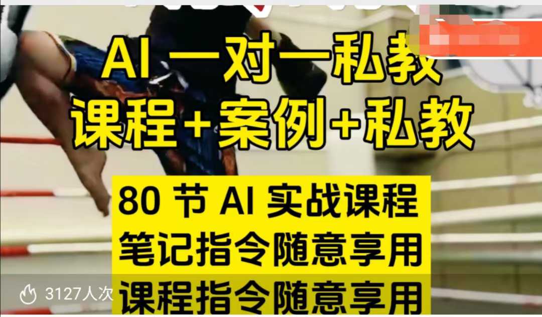 AI指令实战课，课程+案例，80节AI实战课程，笔记指令随意享用，课程指令随意享用(更新7月)-猴哥项目网