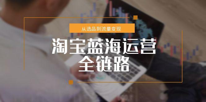 淘宝蓝海运营全链路，从选品到流量变现，小类目突围完整方案-猴哥项目网