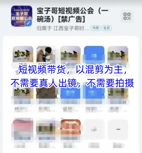 宝子哥头部团队短视频带货，以混剪为主，不需要真人出镜，不需要拍摄【更新6月】-猴哥项目网