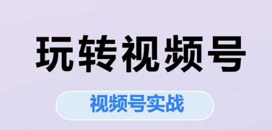 玩转视频号，视频号实战系列课-猴哥项目网