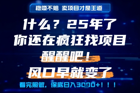 什么？25年你还在疯狂找项目做，醒醒吧，看完这些你全都懂了！【揭秘】-猴哥项目网