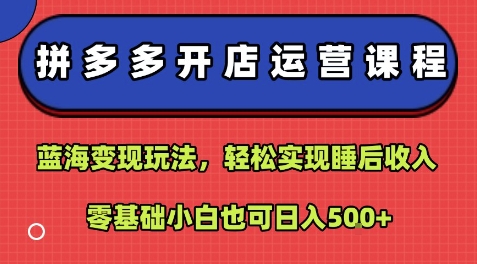 拼多多开店运营课程：蓝海变现玩法，轻松实现睡后收入，零基础小白也可日入5张-猴哥项目网