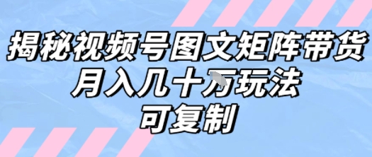 解密视频号图文矩阵带货，月入几个W的打法，可复制-猴哥项目网