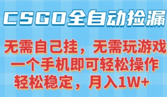 CSGO自动捡漏项目，最新独家玩法，一个手机可操作，新手小白轻松月入1W+，操作简单易上手【揭秘】-猴哥项目网