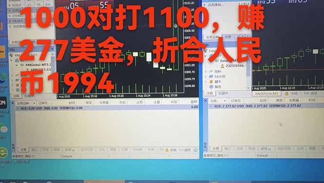 稳定8年的美刀搬砖项目，单人每日收益800—3000.团队4人月入10W+.可线下-猴哥项目网